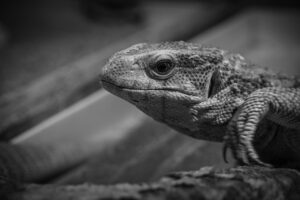 アフターピルを受診する際の流れはどうなっているの？