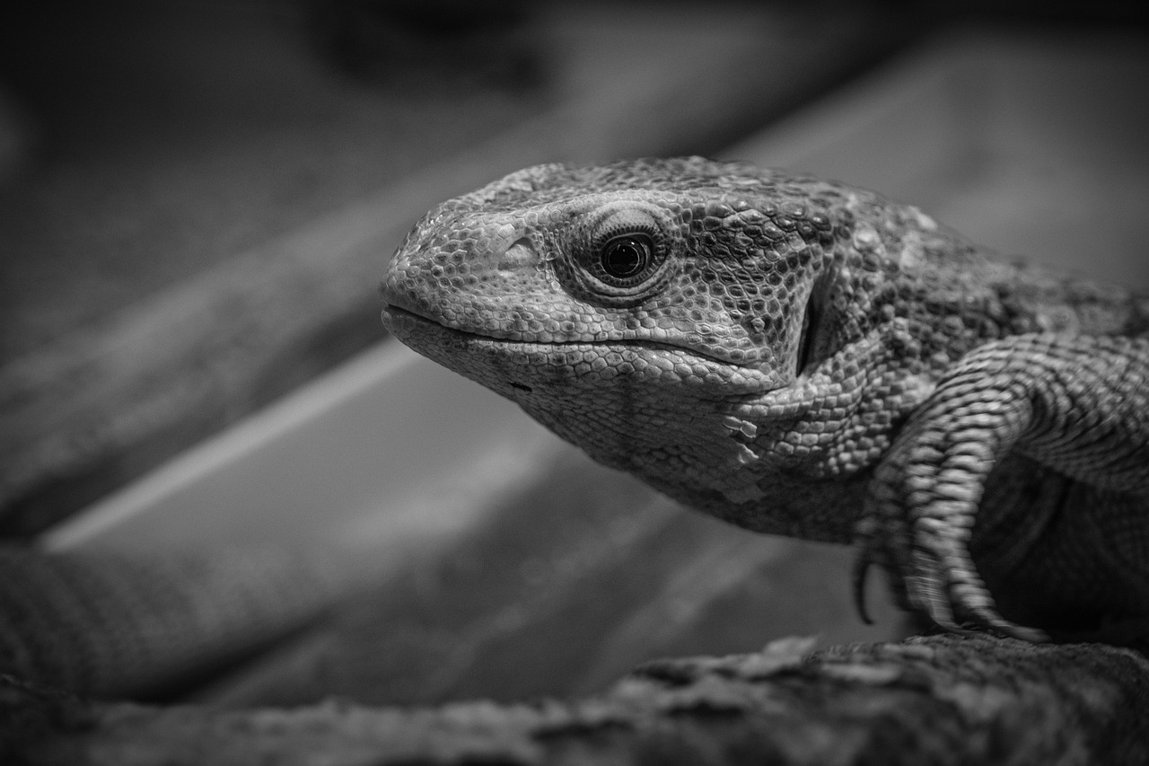 アフターピルを受診する際の流れはどうなっているの？