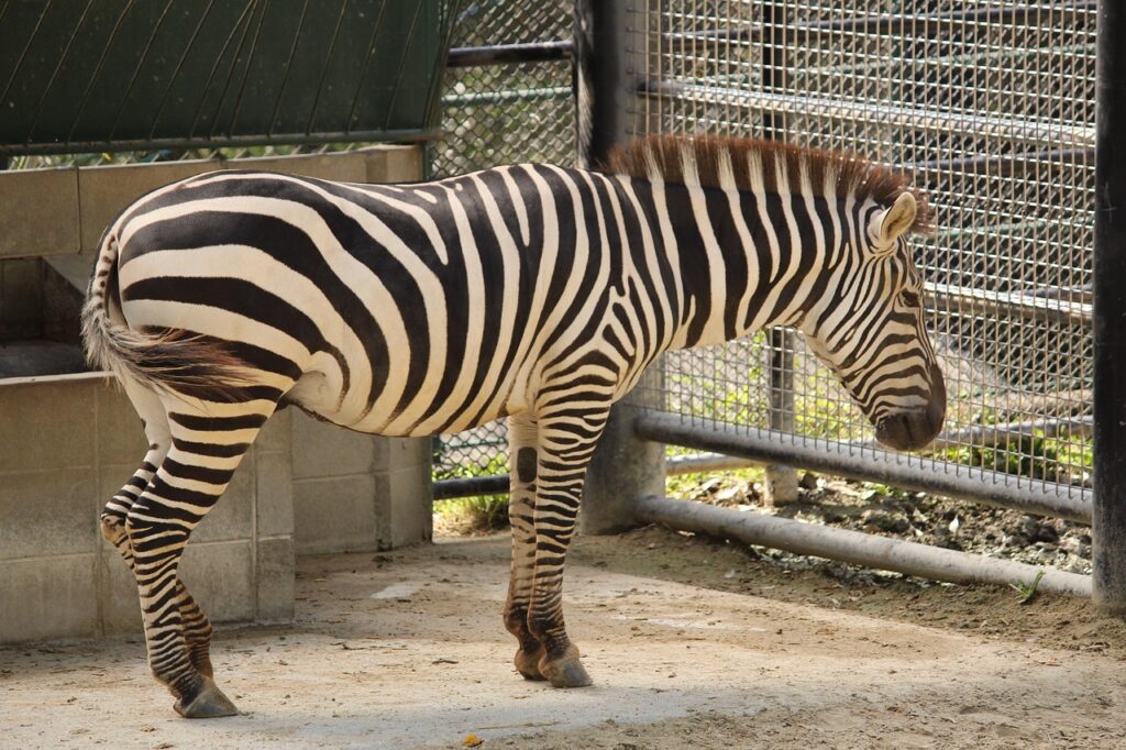 アフターピルの福岡最短配送サービスはどこで利用できる？