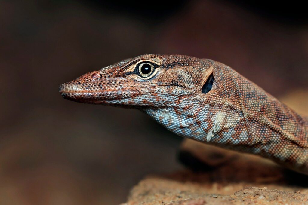 アフターピルをオンラインで購入する際のおすすめまとめは？